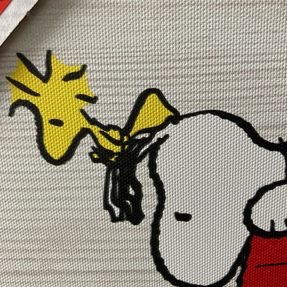 Peanuts Canvas Photo - Picture 5 of 7